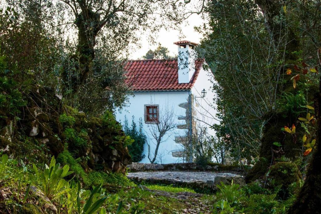 Holiday home Casa Do Vale Do Papo Pombal (Leiria)